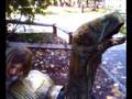 videos de annika.tortise
