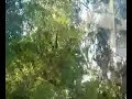 Alger La Blanche! 3ieme ville la plusbelle au monde!