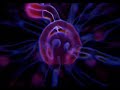 orbital - dr who orbital - dr who