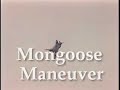 X-31 moongoose maneuvre