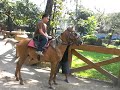 kawawang tambok na cowboy