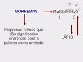 PROFESSOR WALLAS CABRAL- USP- MORFOLOGIA 1� - INTRODU��O