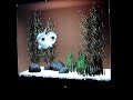 Virtual Wiiality Fish Tank