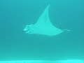 Mantes a Maldives