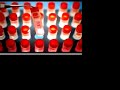 bush-on-embryo-adoption-ethical-stem-cell-research-video-.html