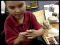 Dual Language Part 2