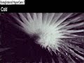 Cold by Crossfade Cold by Crossfade