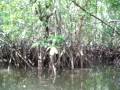 Bintan girl trip 048.MOV