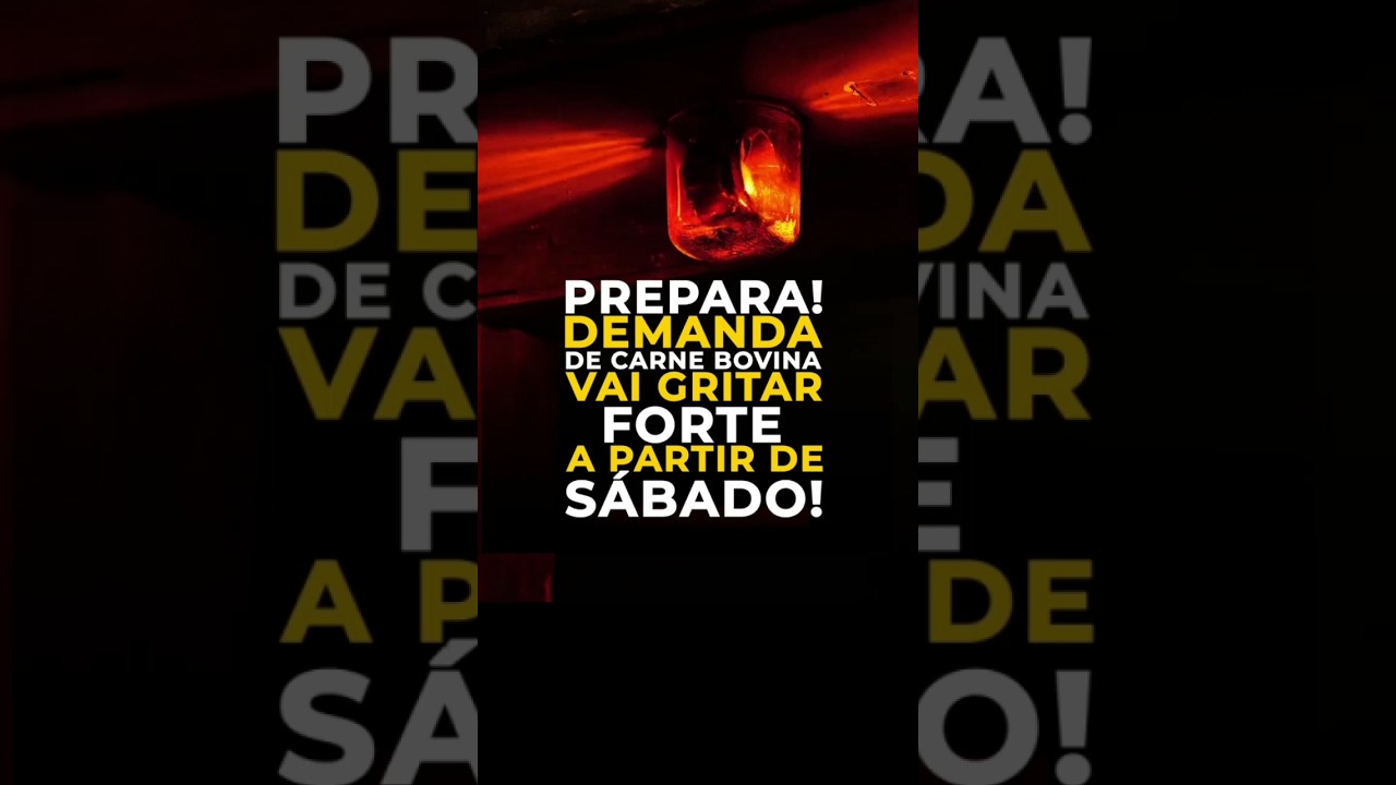 PREPARA! DEMANDA DE CARNE BOVINA VAI GRITAR FORTE A PARTIR DE SÁBADO!