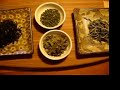 Mini Tour of Tea