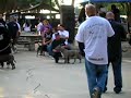 Dog Pound Male ABKC class