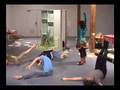 Dance For The Shy - 2007