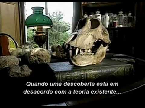 Imagem de Amostra do You Tube