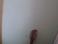 Video,71,