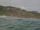 Dolphin Kayaking GO SEA KAYAK june 18th Byron Bay