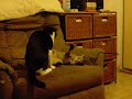 CIMG1996.AVI