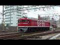 2026年9月29日　EF81 95 が解体されました　さようなら 交直両用電気機関車 EF81 95  (もとJR東日本 尾久(田端)車両センター 所属)　2019～2022年 撮影