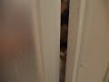 風呂だよ
