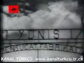 ulkuculer