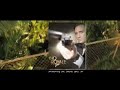 Parkour rise of the urban ninja