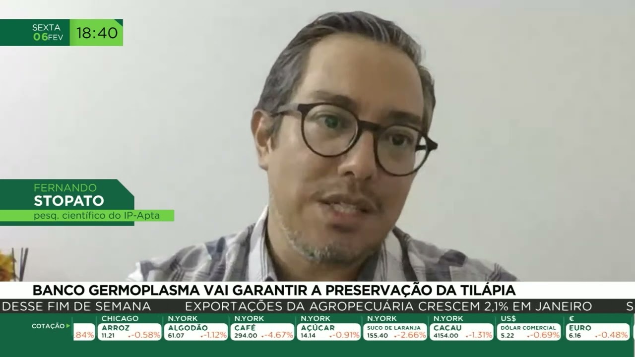 Banco germoplasma vai garantir a preservação da tilápia