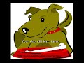 Dog Food Recipes
