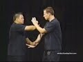Wing Chun - Chi Sao fast and slow mo