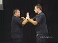 Wing Chun - Chi Sao fast and slow mo