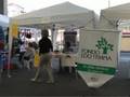 videos de P. n. 22 ' 08 TG Vol: Volontariato in Piazza Cossato-Trivero