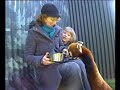 Red Pandas at Wellington Zoo