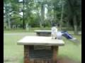 videos de Traceur panchito // f.s.c. // parkour // freeruning // triks // argentina