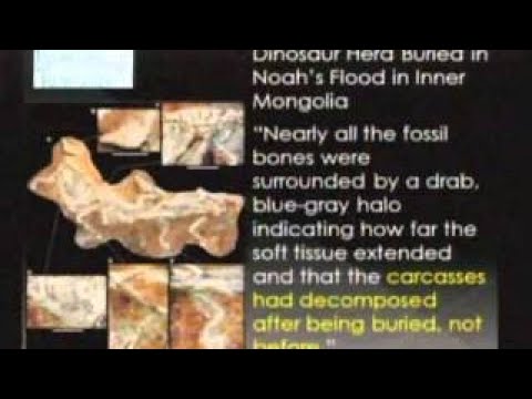 Dinosaur Fossils, They Don’t Come With Directions – Tommy Lohman 1 of 2