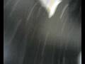 videos de dingdingding!