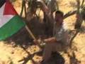 Bil'in Friday 20.6.2008