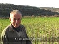 La Cosecha de Siddiqine - parte 2 La Cosecha de Siddiqine - parte 2
