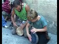 PREVIA FESTA ISTORIA Y VENDIMIA
