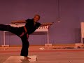 viet vo dao - démonstration technique viet vo dao - démonstration technique