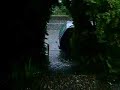 Hagel Hagel