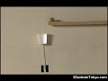 Amazing Japan Domino