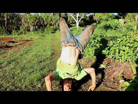 Permaculture Tips - Super fast growing 50 day food forest