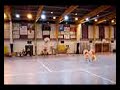 gala de patins � roulettes \" les asiatiques\"