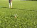 RC helico flycam test x450