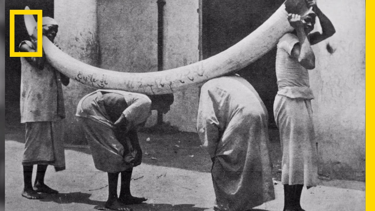 The Historical Falsehoods That Feed White Supremacy
