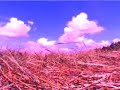 Extreme Duudsonit: Zimbabwe