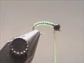 Fly Tying: Caddis Larvae Fly Tying: Caddis Larvae