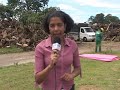 Na serraria ecológica da prefeitura nada se perde, viram tábuas, lenha, adubo.