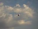 Hughes MD-530 R/C Helicopter
