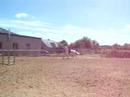 Cours d'obstacle Emilie et Nanini