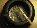 Cigarrillo / Cigarette