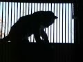 Tiger Silhouette Tiger Silhouette
